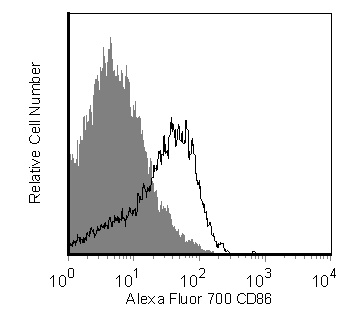 560581_IMAGE2.png